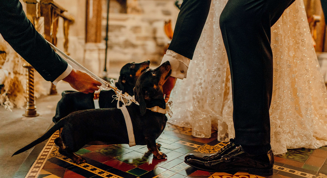 Sami and Rob Ring Bearers