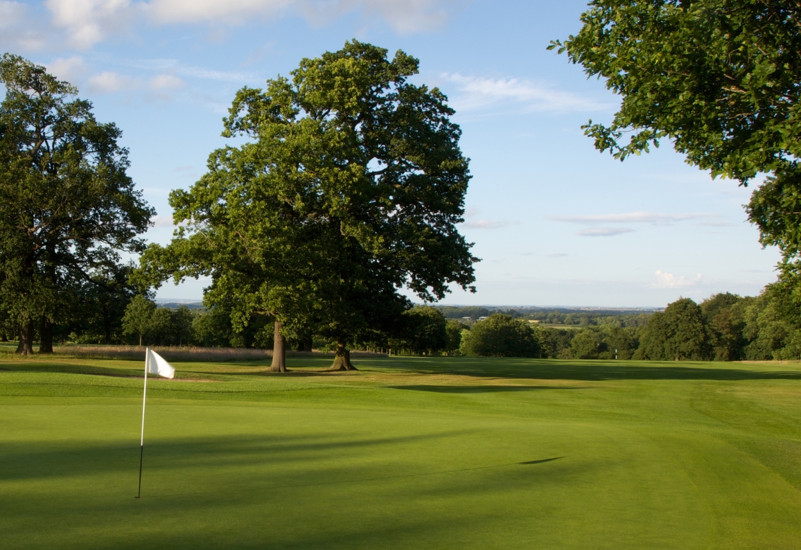 Offers Golf