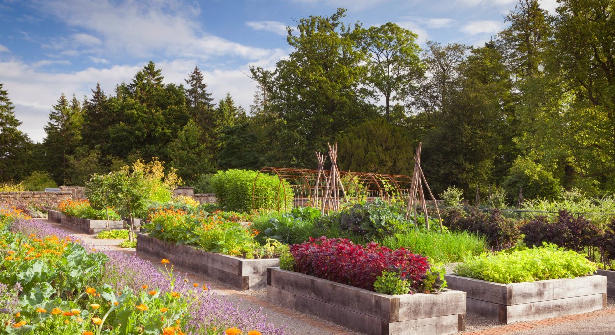 Rudding Park Kitchen Garden