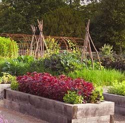 kitchen garden at rudding park
