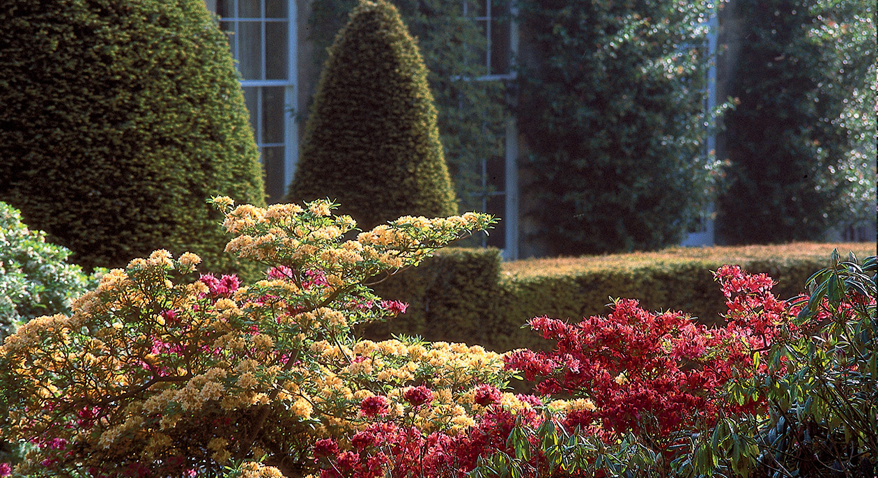 Rudding Park Gardens