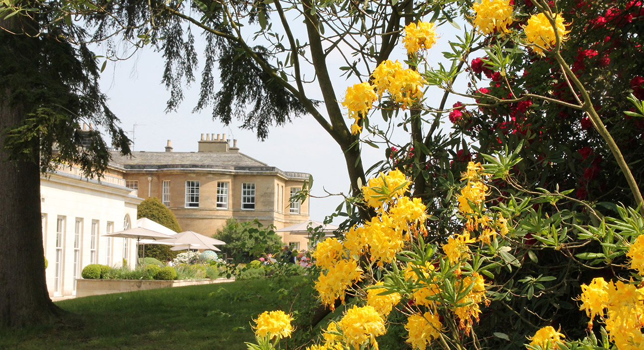 Rudding Park Gardens