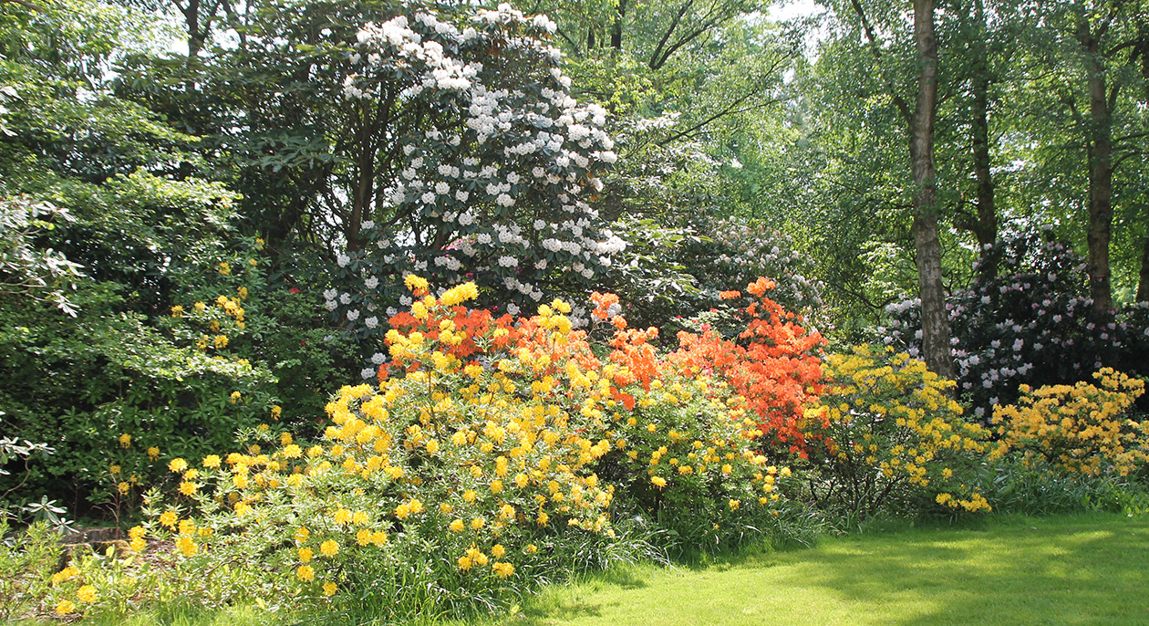 Rudding Park Secret Garden