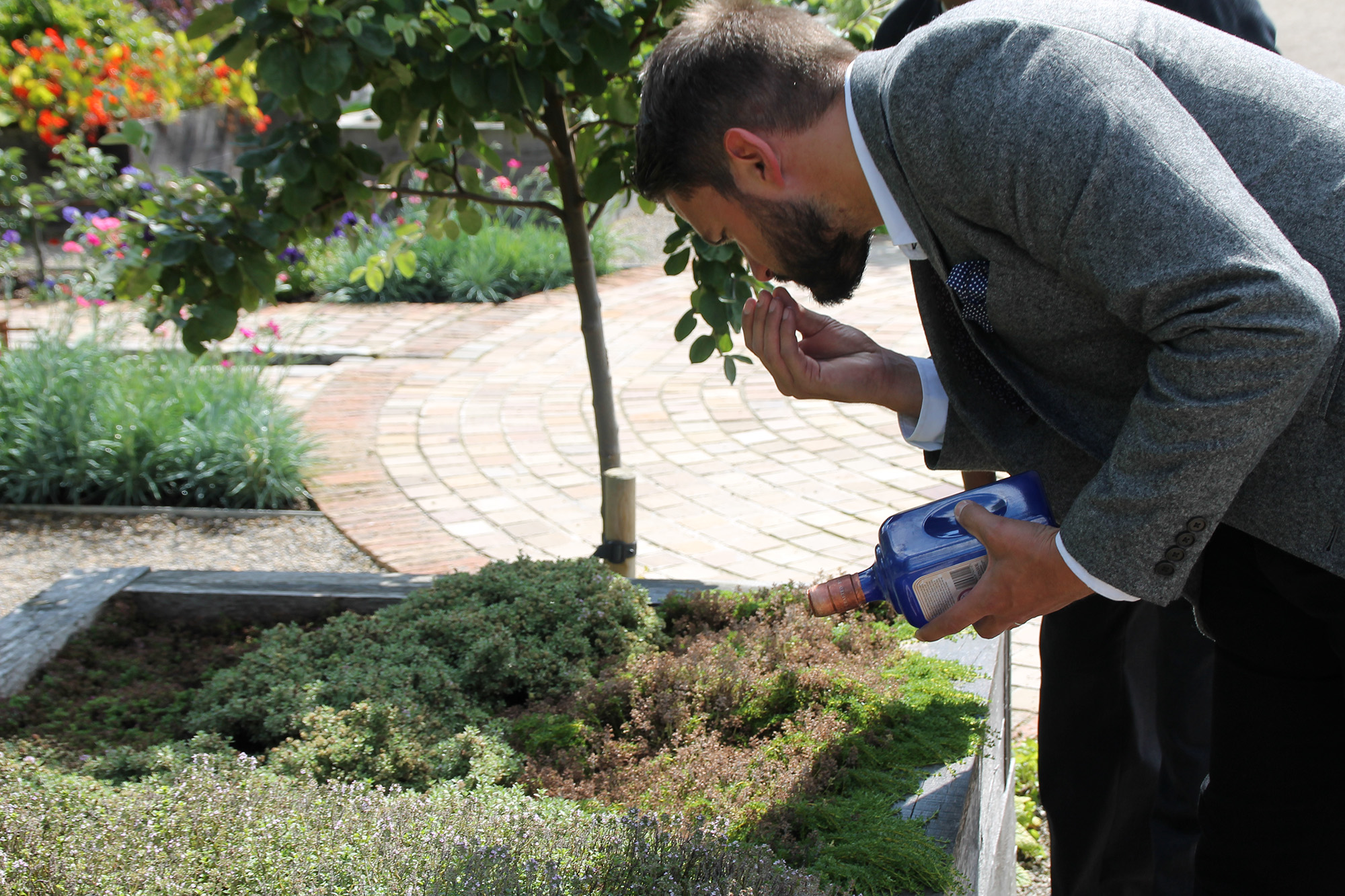 Botanical Selection Kitchen Garden at Rudding Park