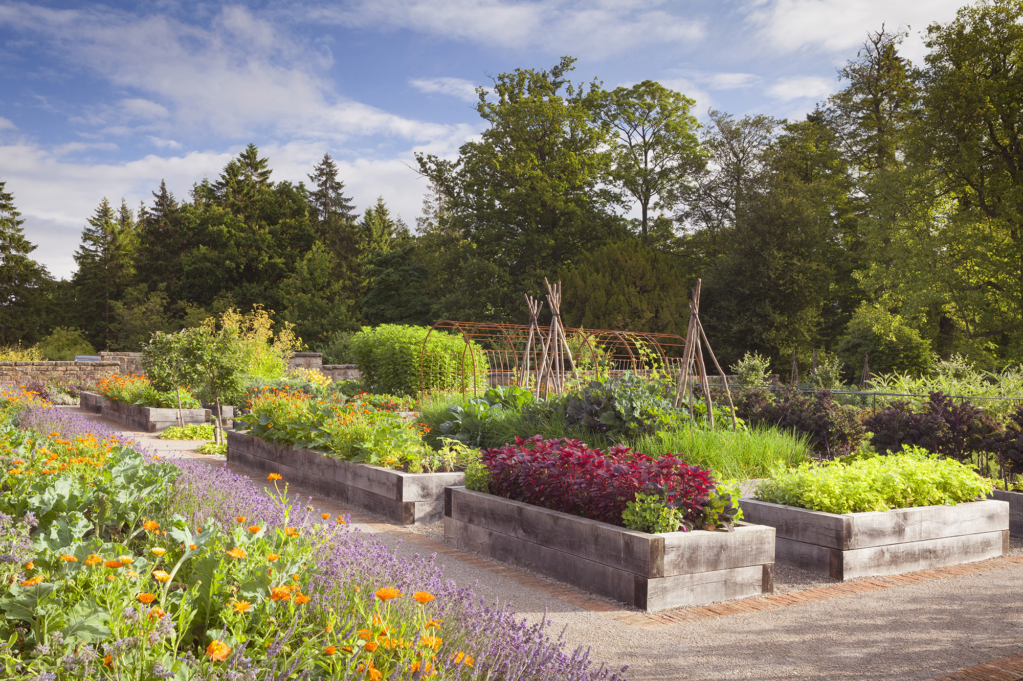 Rudding Park Kitchen Garden