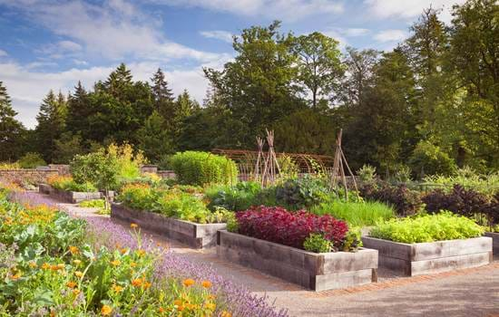 Rudding Park Kitchen Garden