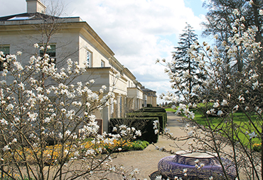 Magnolias Outside Rudding Park Hotel