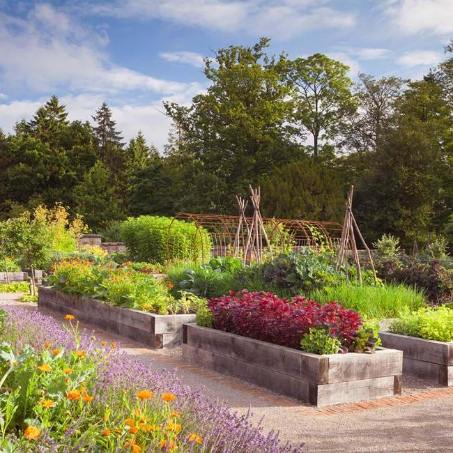 Rudding Park Kitchen Garden