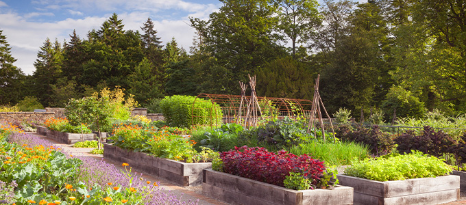 Rudding Park Kitchen Garden