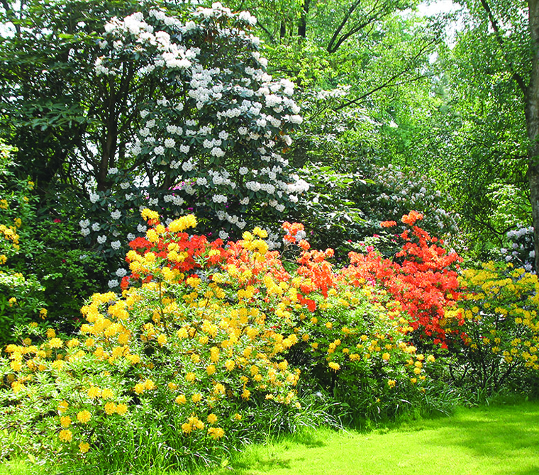 Rudding Park Secret Garden