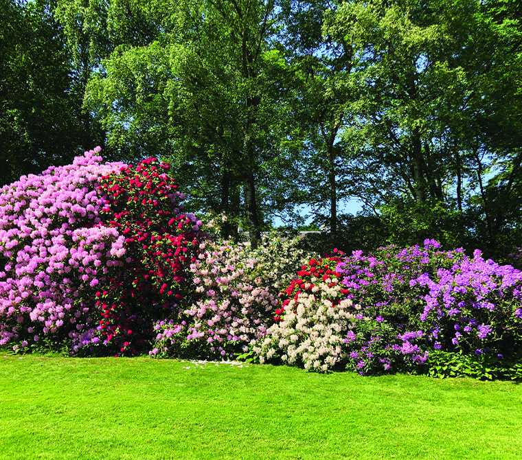 Rudding Park Secret Garden