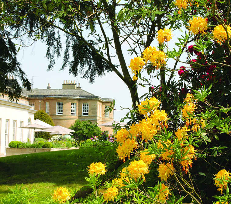 Flowers On Clocktower Terrace