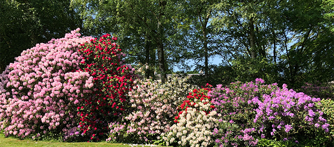 Rudding Park Secret Garden