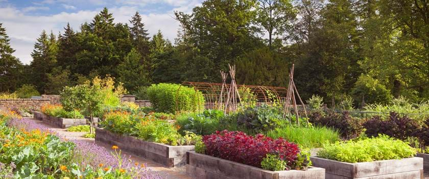 Rudding Park Kitchen Garden