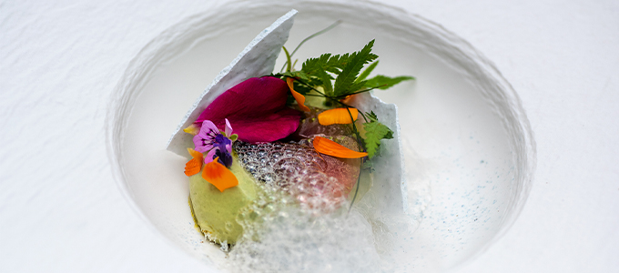 Horto Taste of Garden