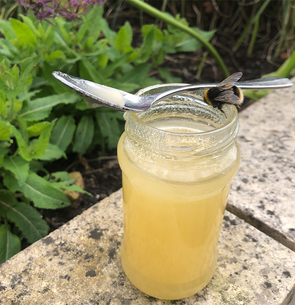 Fresh Honey From Rudding Park