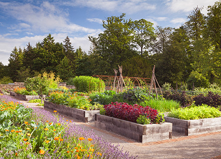 Rudding Park Kitchen Garden