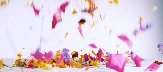 Horto Flowers
