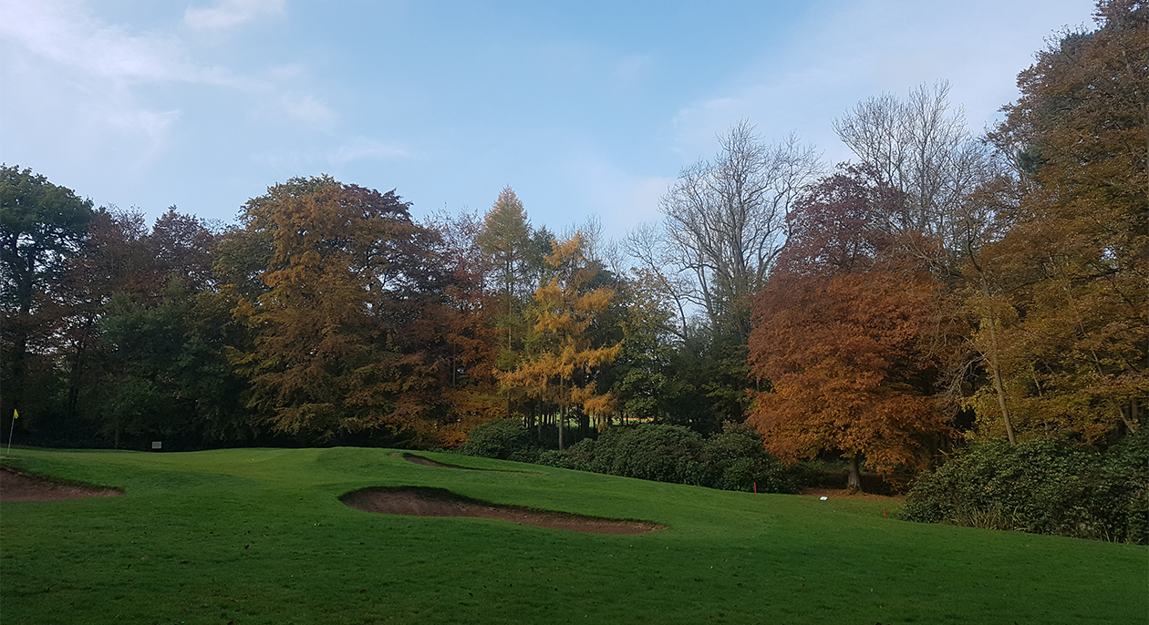 Autumn Golf 