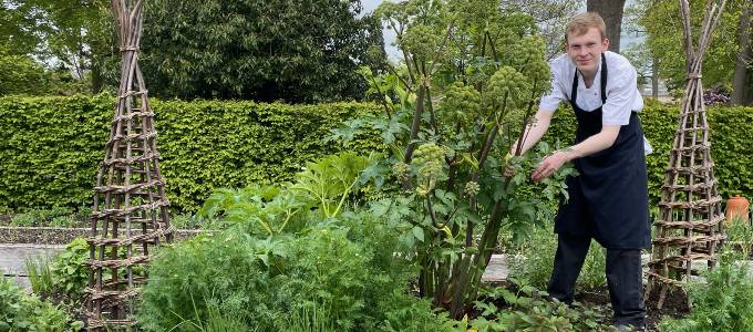 Rudding Park Kitchen Garden