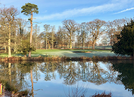 Frosty Morning On The Golf Course